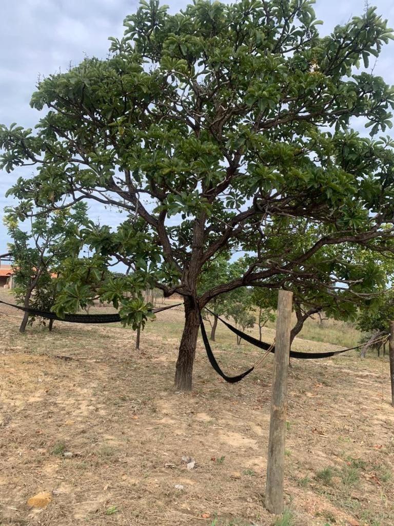 Pousada Solar Da Canastra Delfinopolis Bagian luar foto