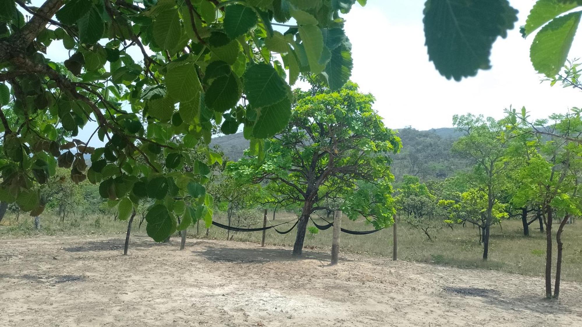 Pousada Solar Da Canastra Delfinopolis Bagian luar foto